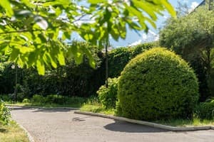 Черкассы Палац 24